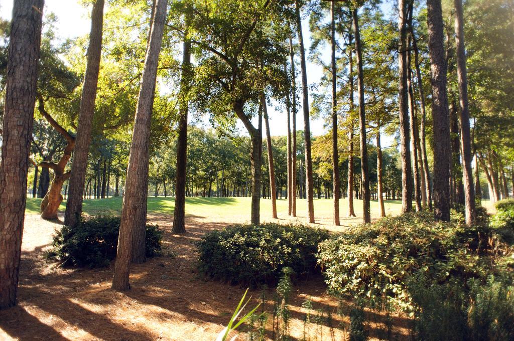 Hotel Pawleys Plantation Golf & Country Club Pawleys Island Zewnętrze zdjęcie