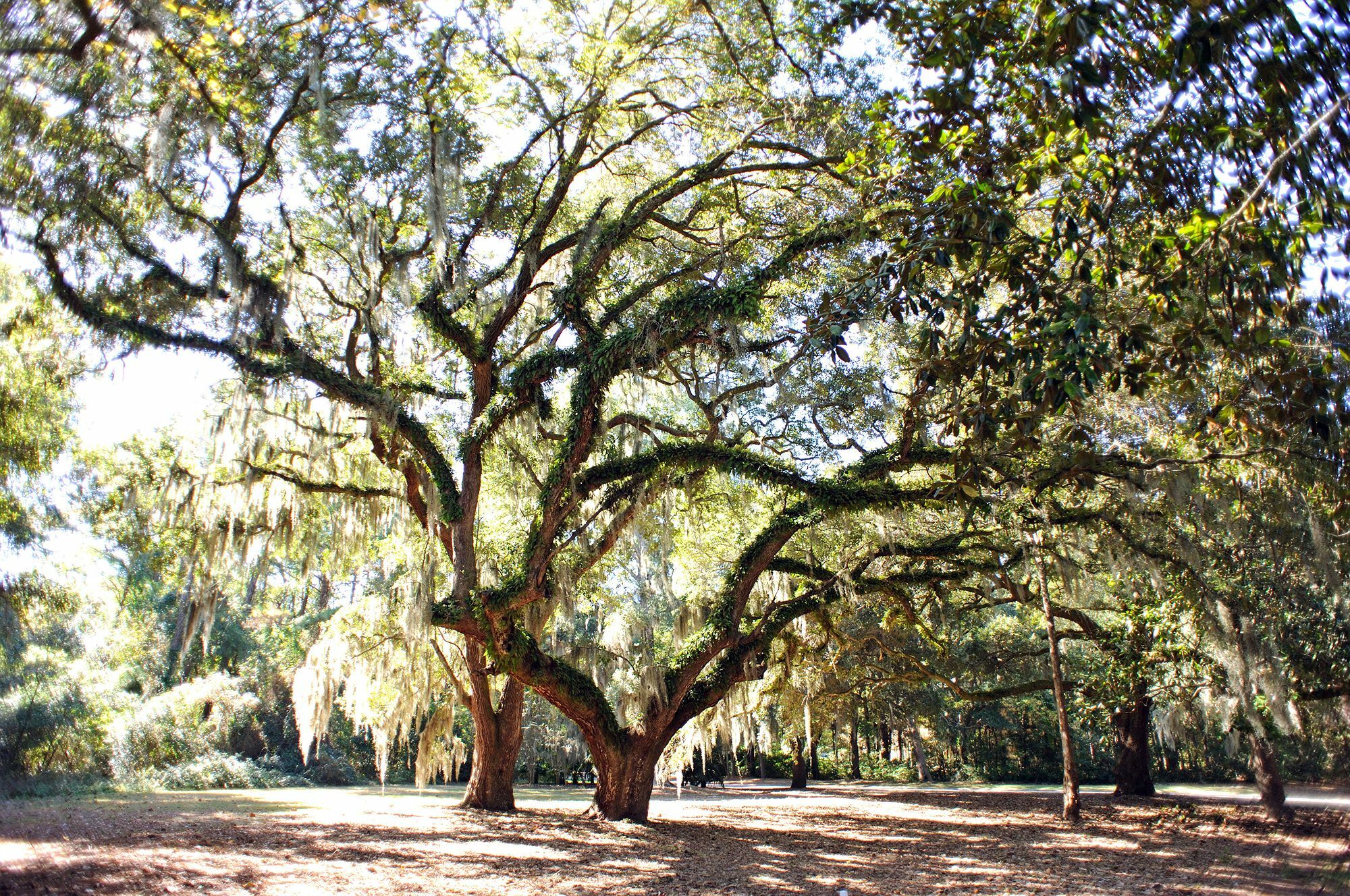 Hotel Pawleys Plantation Golf & Country Club Pawleys Island Zewnętrze zdjęcie